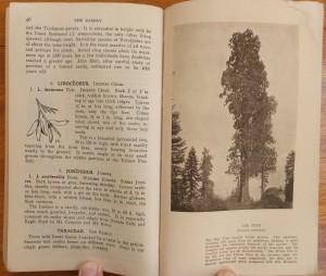 Page 46-47 of "A Yosemite Flora"