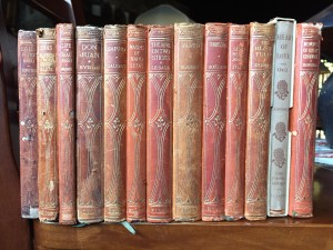 Thirteen of the Panel Books, with typical spine sunning and damage